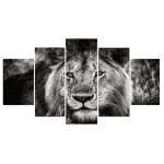 Toile 5 pièces lion noir et blanc yeux marrons.