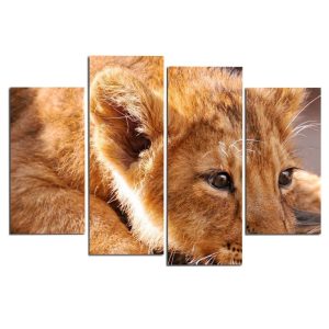 Tableau Lionceau photographie lion sur toile