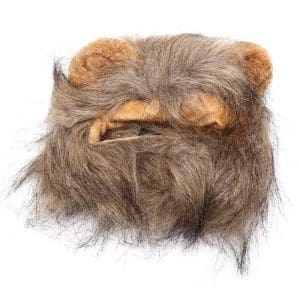 Perruque Lion Chat