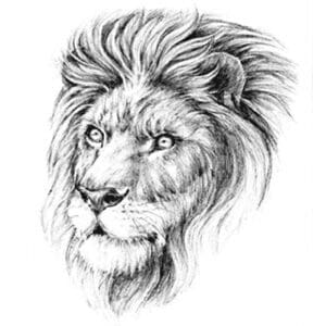 Tatouage Éphémère Lion Charme